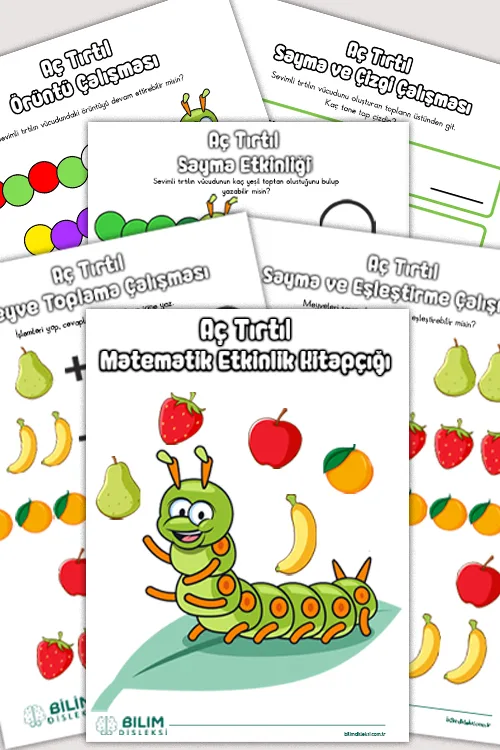 Aç Tırtıl Matematik Kitabı