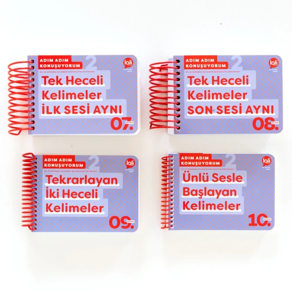 Lali Adım Adım Konuşuyorum Eğitim Seti 2